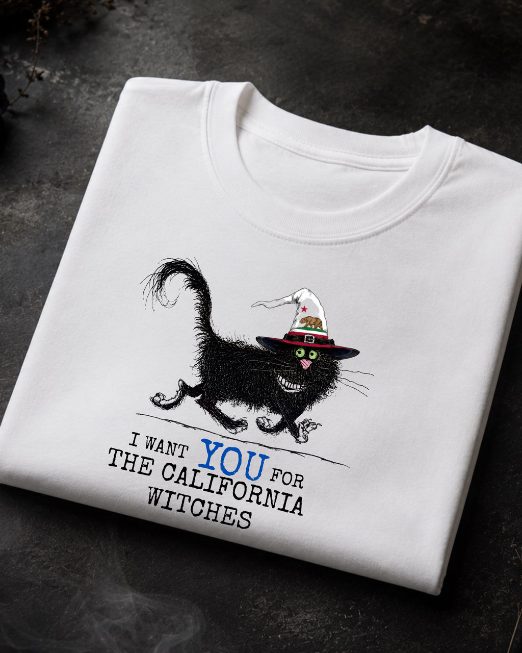 California Witches Tee – Comfort Colors Black Cat Graphic Tee | Moonspell Hollow™
