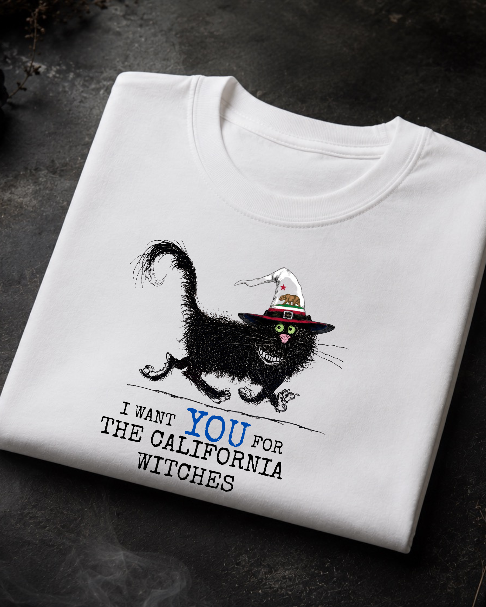 California Witches Tee – Comfort Colors Black Cat Graphic Tee | Moonspell Hollow™