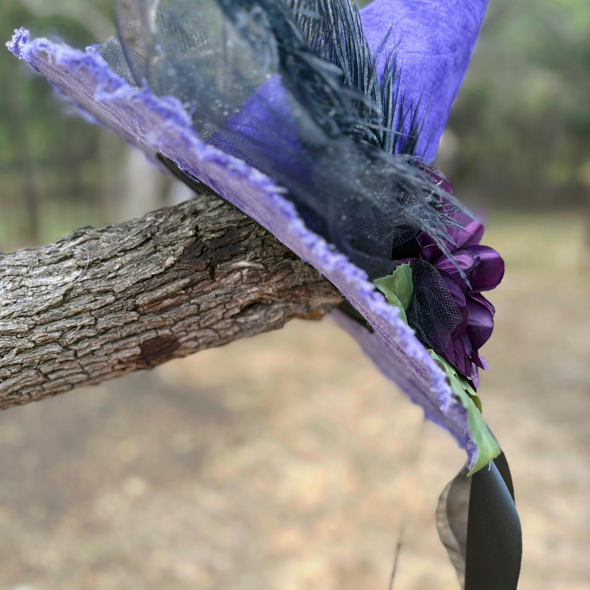 Lady Violetta Dahlwyn | Violet & Plum Witch Hat – Moonspell Hollow™