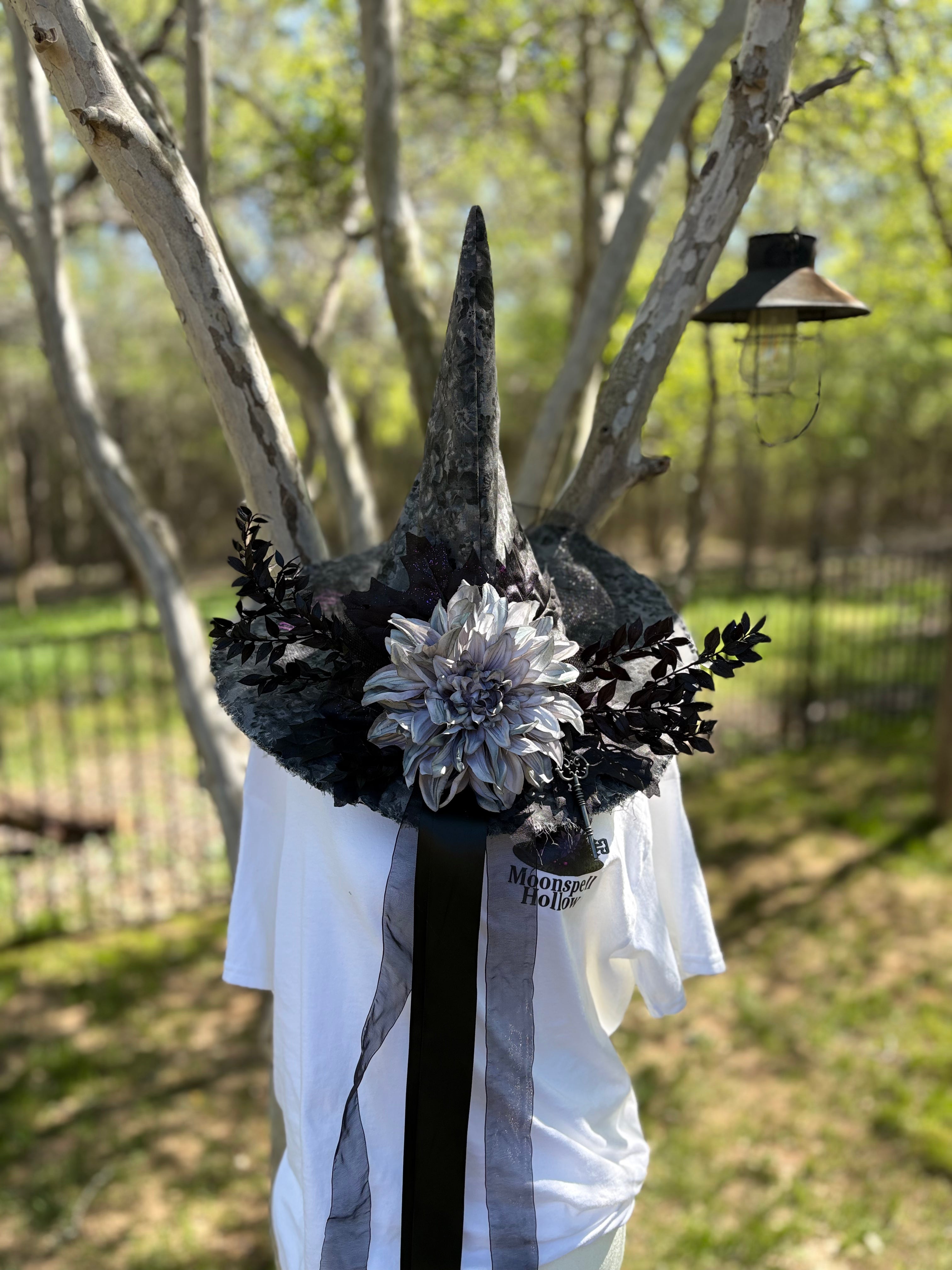 Ash Dahlia — Monochrome