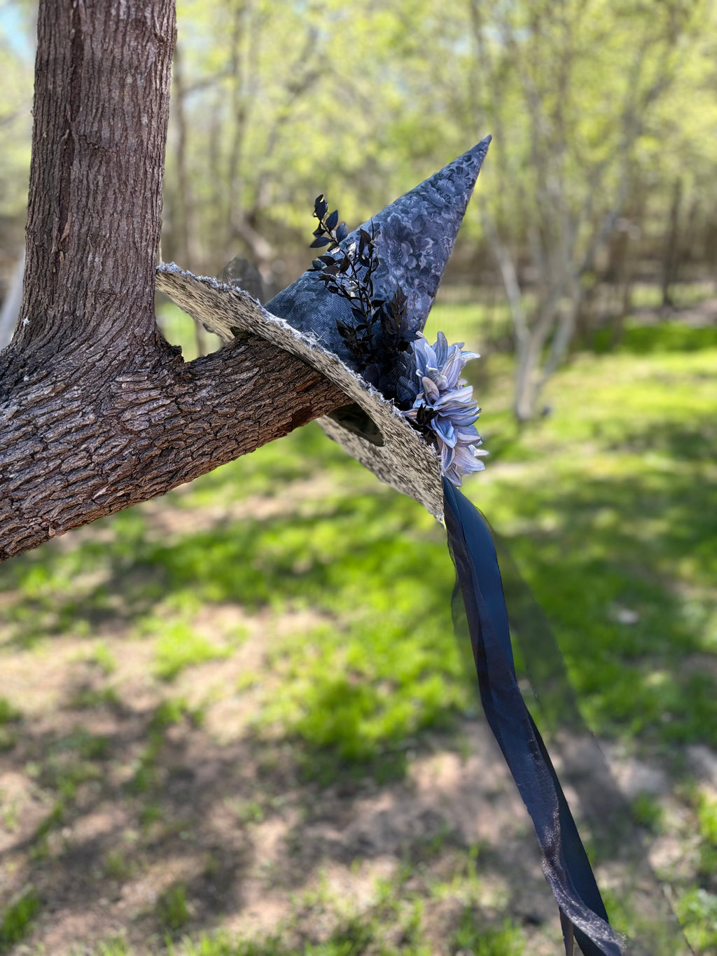 Ash Dahlia — Monochrome