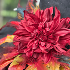 Amber Blaze | Crimson Dahlia & Autumn Leaf Witch Hat – Moonspell Hollow™