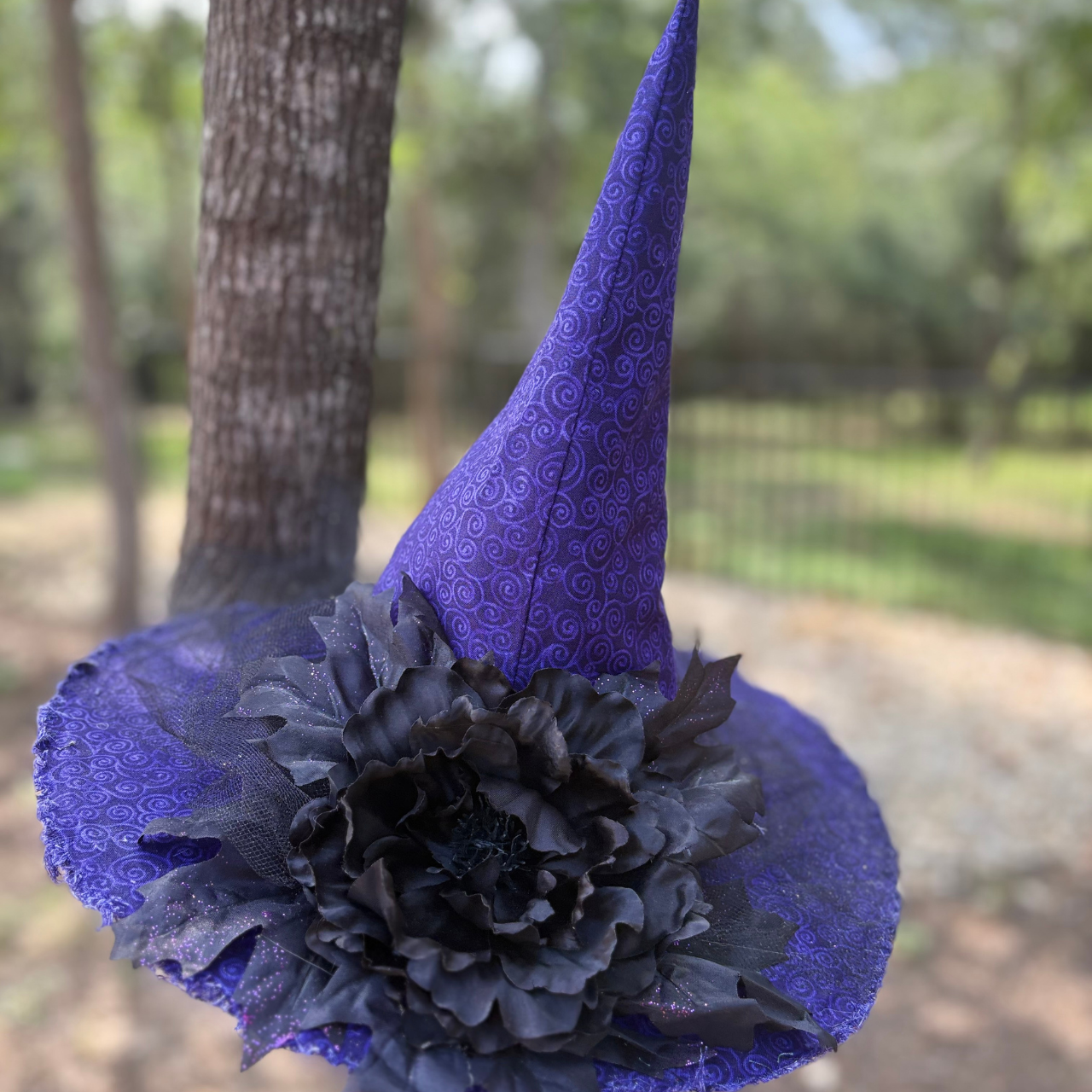 Nocturne Dahlien | Purple & Black Witch Hat – Moonspell Hollow™