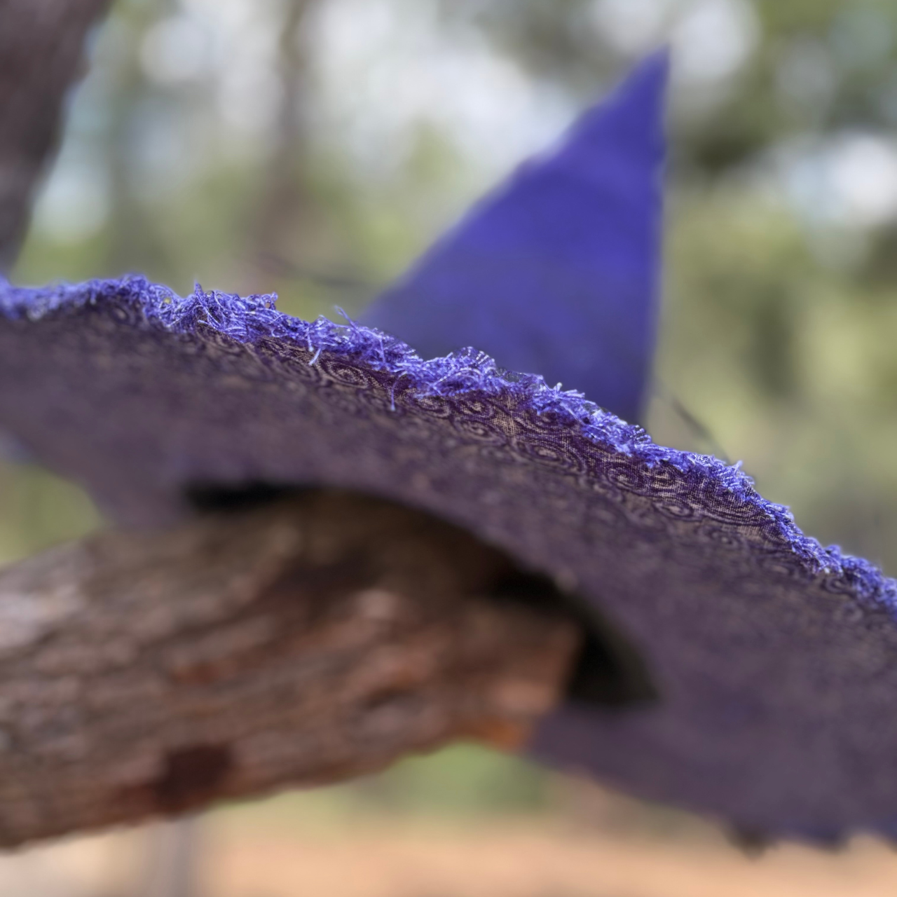 Nocturne Dahlien | Purple & Black Witch Hat – Moonspell Hollow™