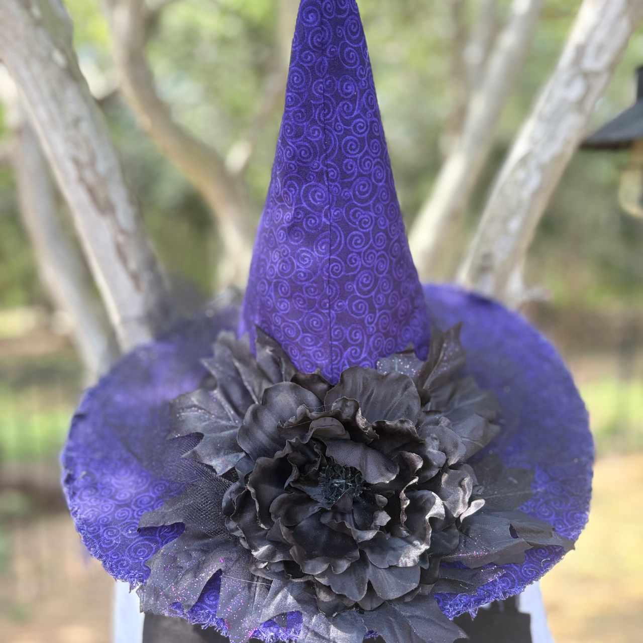 Nocturne Dahlien | Purple & Black Witch Hat – Moonspell Hollow™