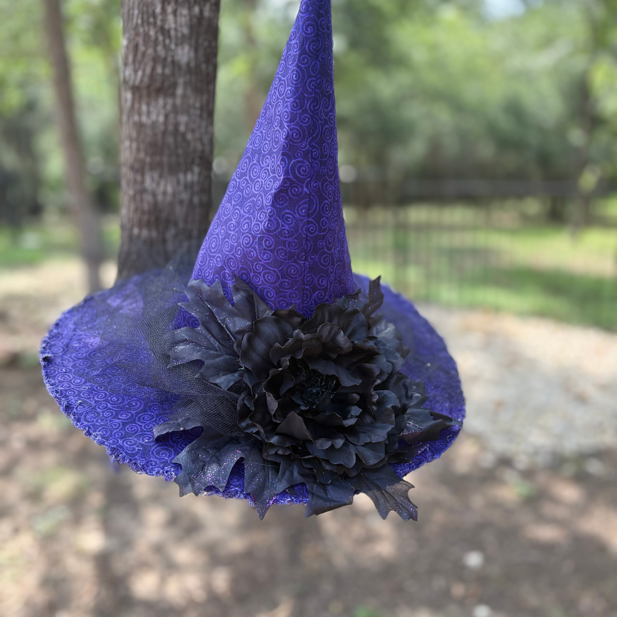 Nocturne Dahlien | Purple & Black Witch Hat – Moonspell Hollow™