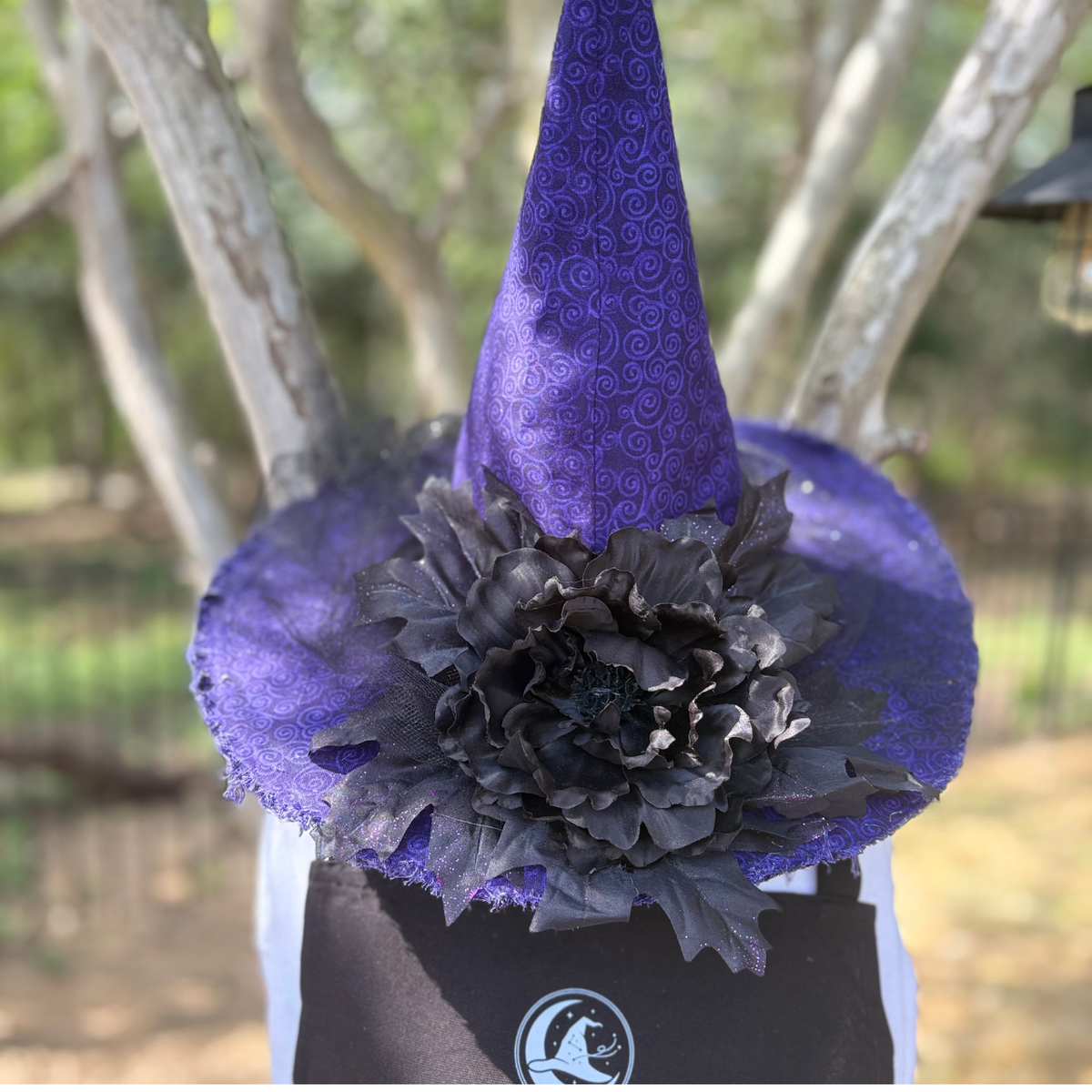Nocturne Dahlien | Purple & Black Witch Hat – Moonspell Hollow™