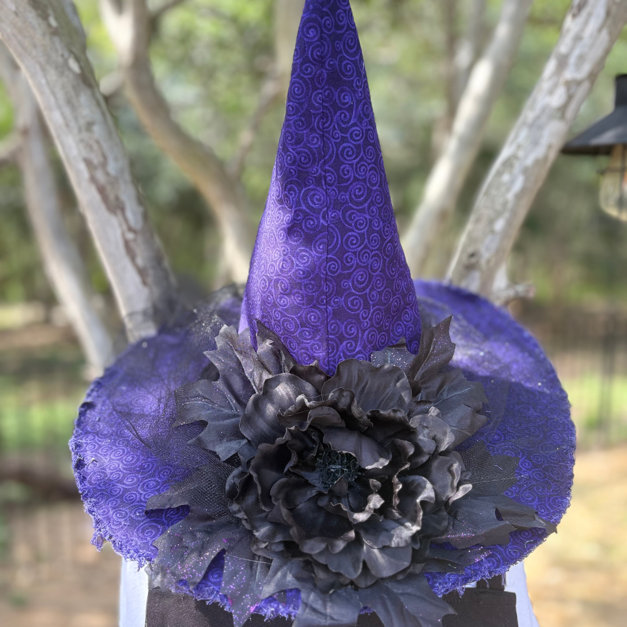 Nocturne Dahlien | Purple & Black Witch Hat – Moonspell Hollow™