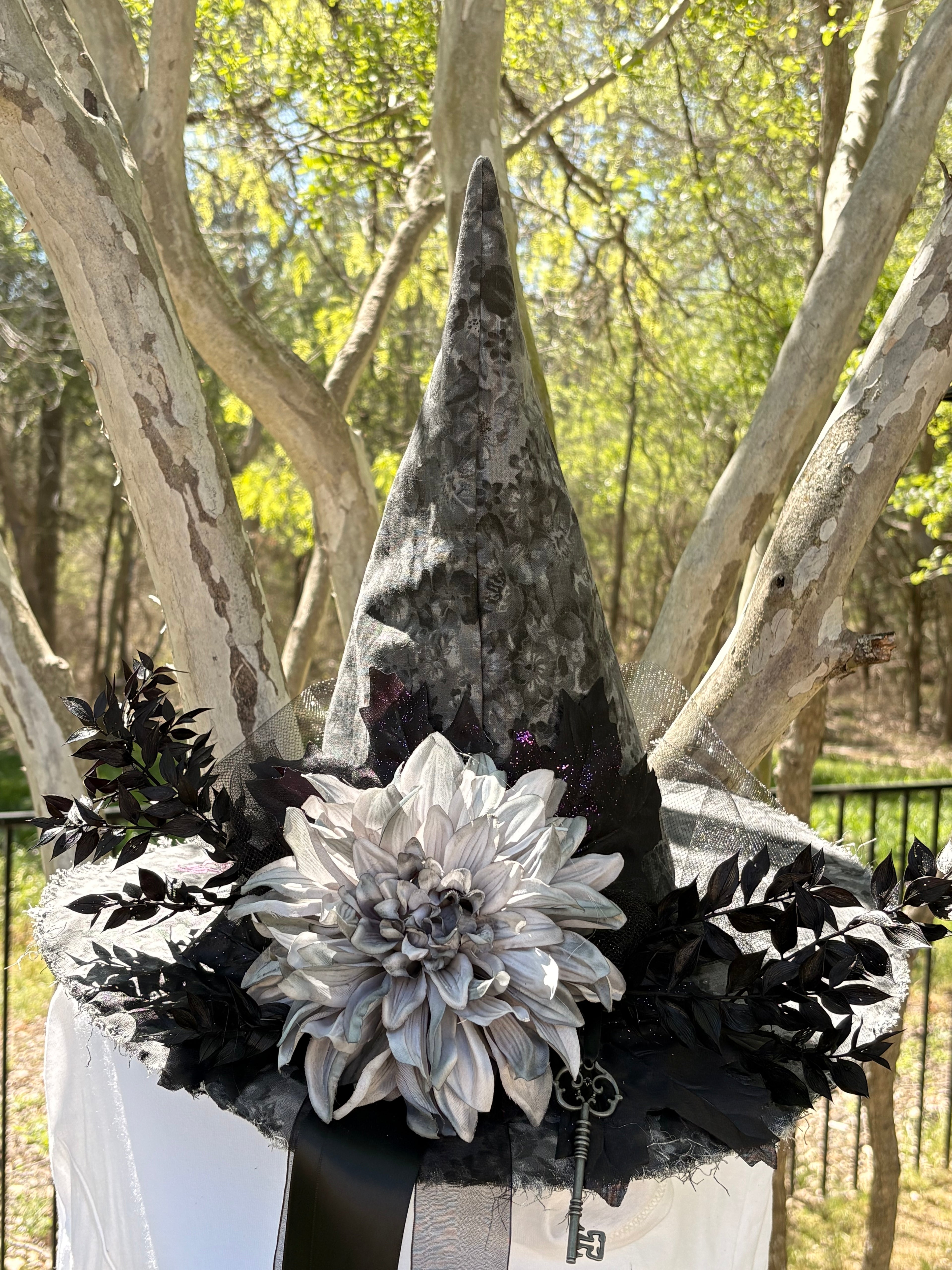 Ash Dahlia — Monochrome