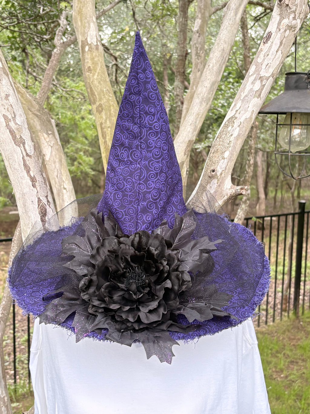 Nocturne Dahlien | Purple & Black Witch Hat – Moonspell Hollow™