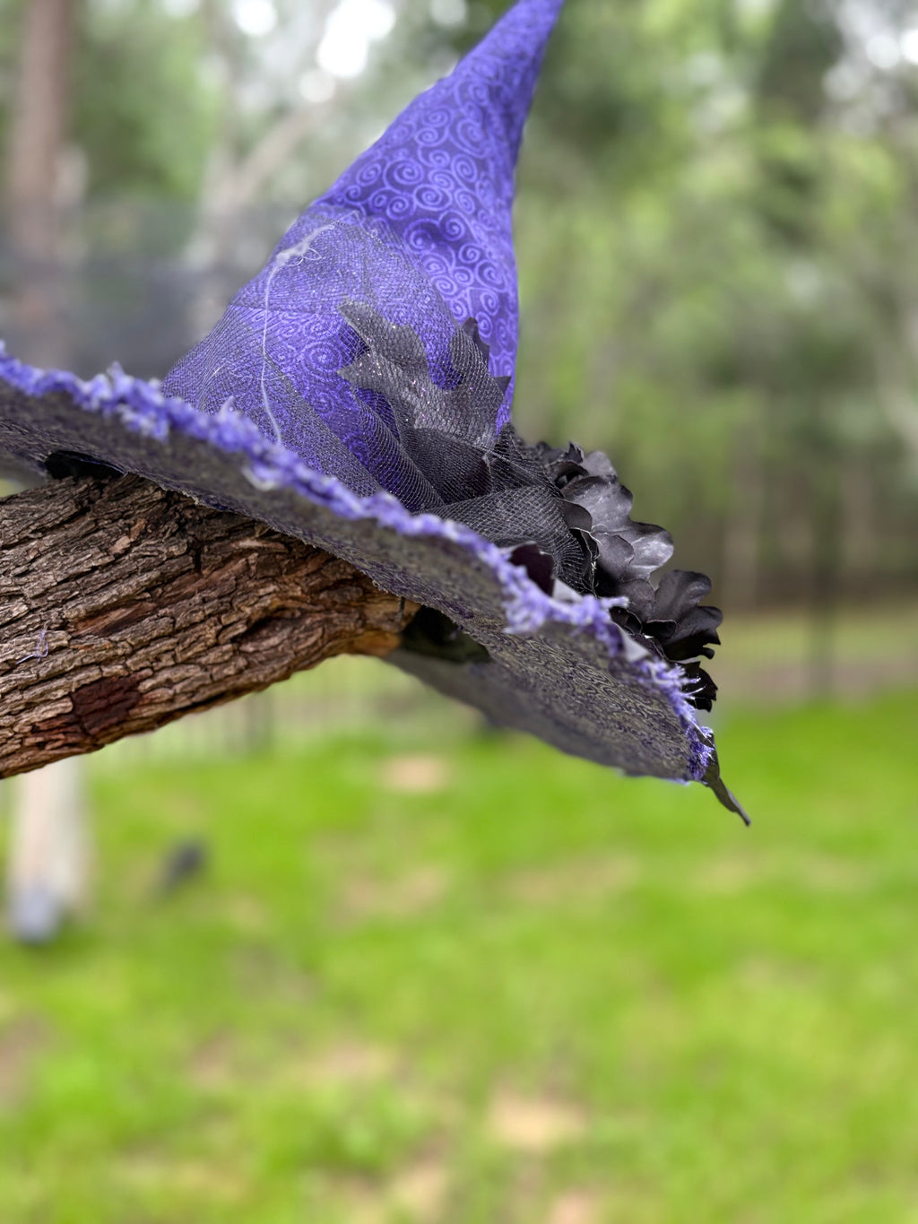 Nocturne Dahlien | Purple & Black Witch Hat – Moonspell Hollow™