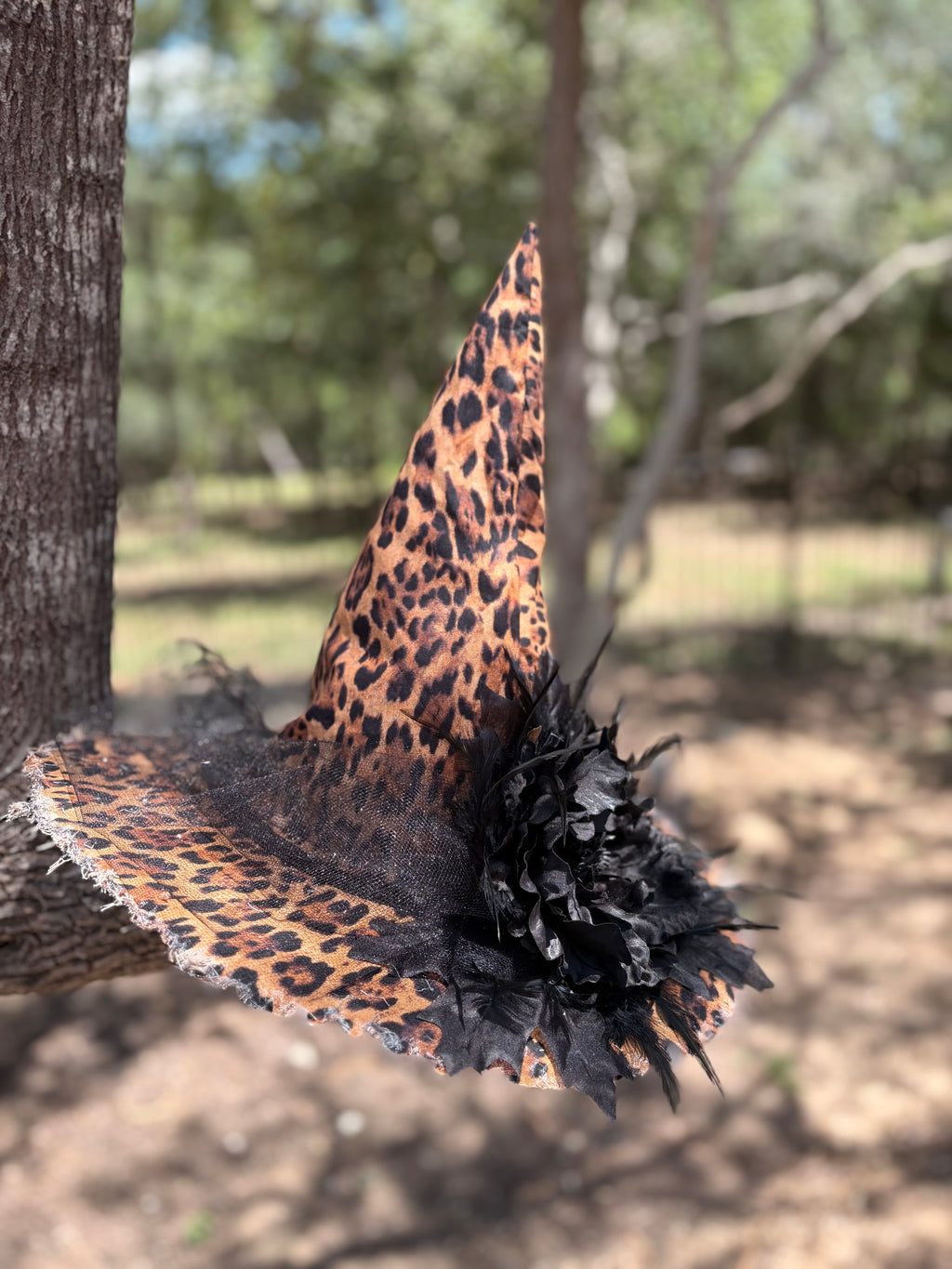 Sable Wildness | Wild Intentions – Moonspell Hollow™