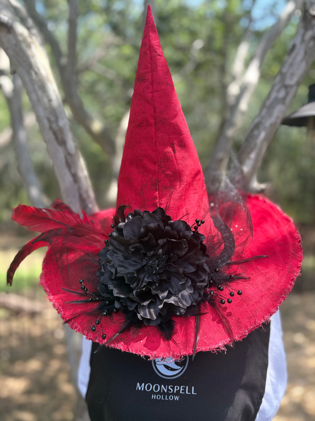 Ruby Red | Crimson & Black Witch Hat – Moonspell Hollow™