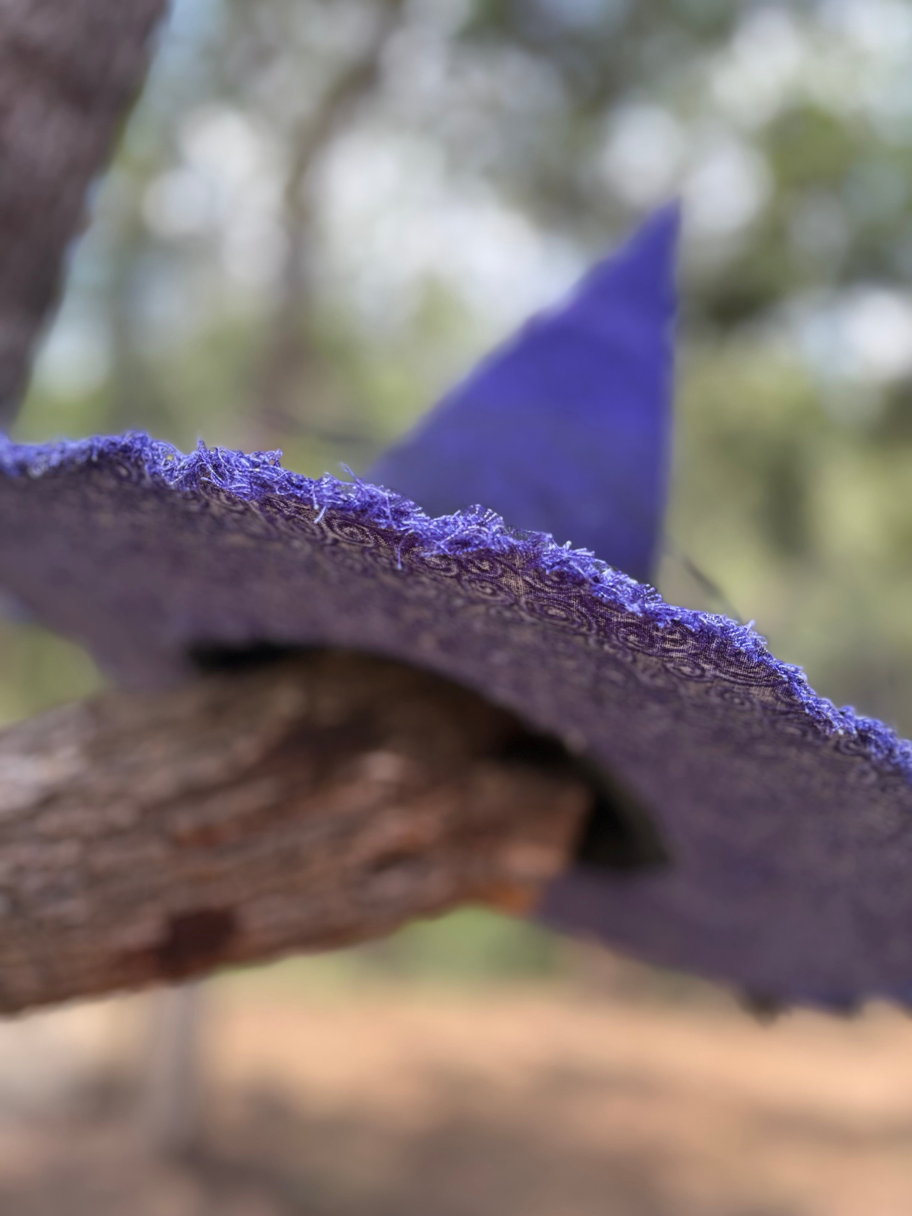 Nocturne Dahlien | Purple & Black Witch Hat – Moonspell Hollow™