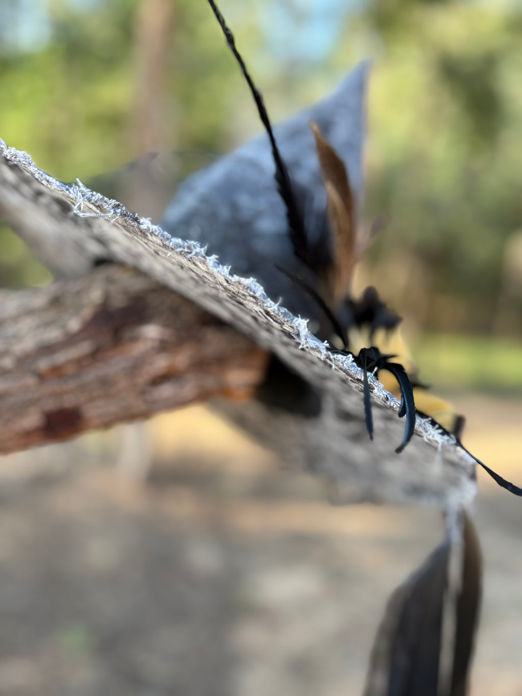Nocturne Bloom | Feathered Noir Witch Hat – Moonspell Hollow™