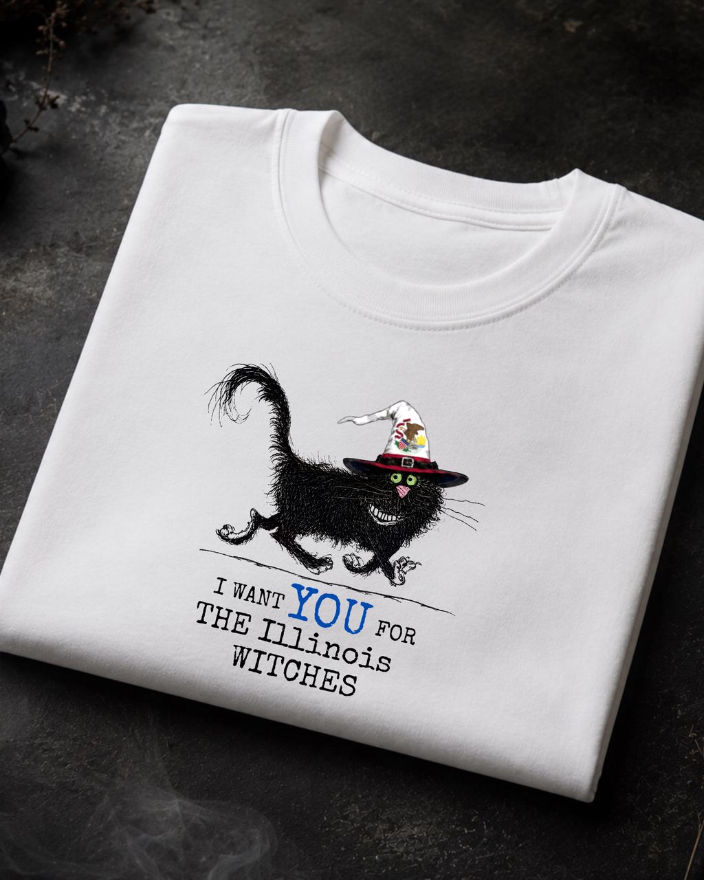 Illinois Witches Tee – Comfort Colors Black Cat Graphic Tee | Moonspell Hollow™