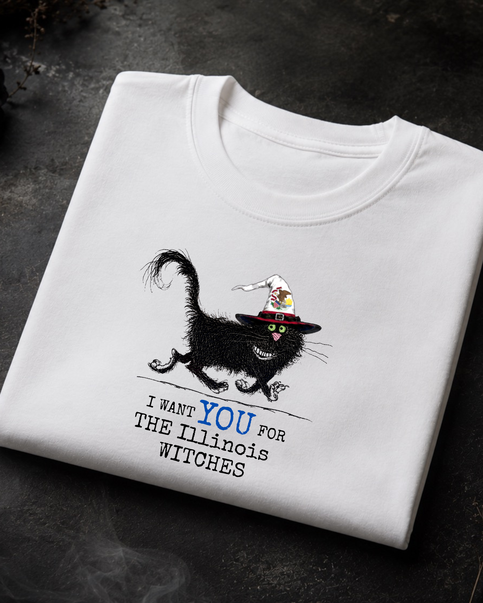 Illinois Witches Tee – Comfort Colors Black Cat Graphic Tee | Moonspell Hollow™
