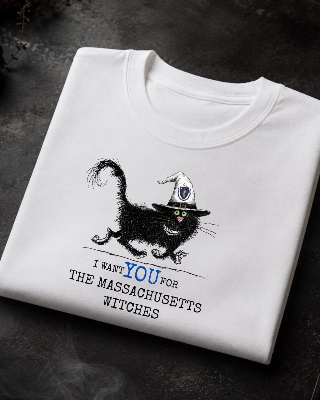 Massachusetts Witches Tee – Comfort Colors Black Cat Graphic Tee | Moonspell Hollow™
