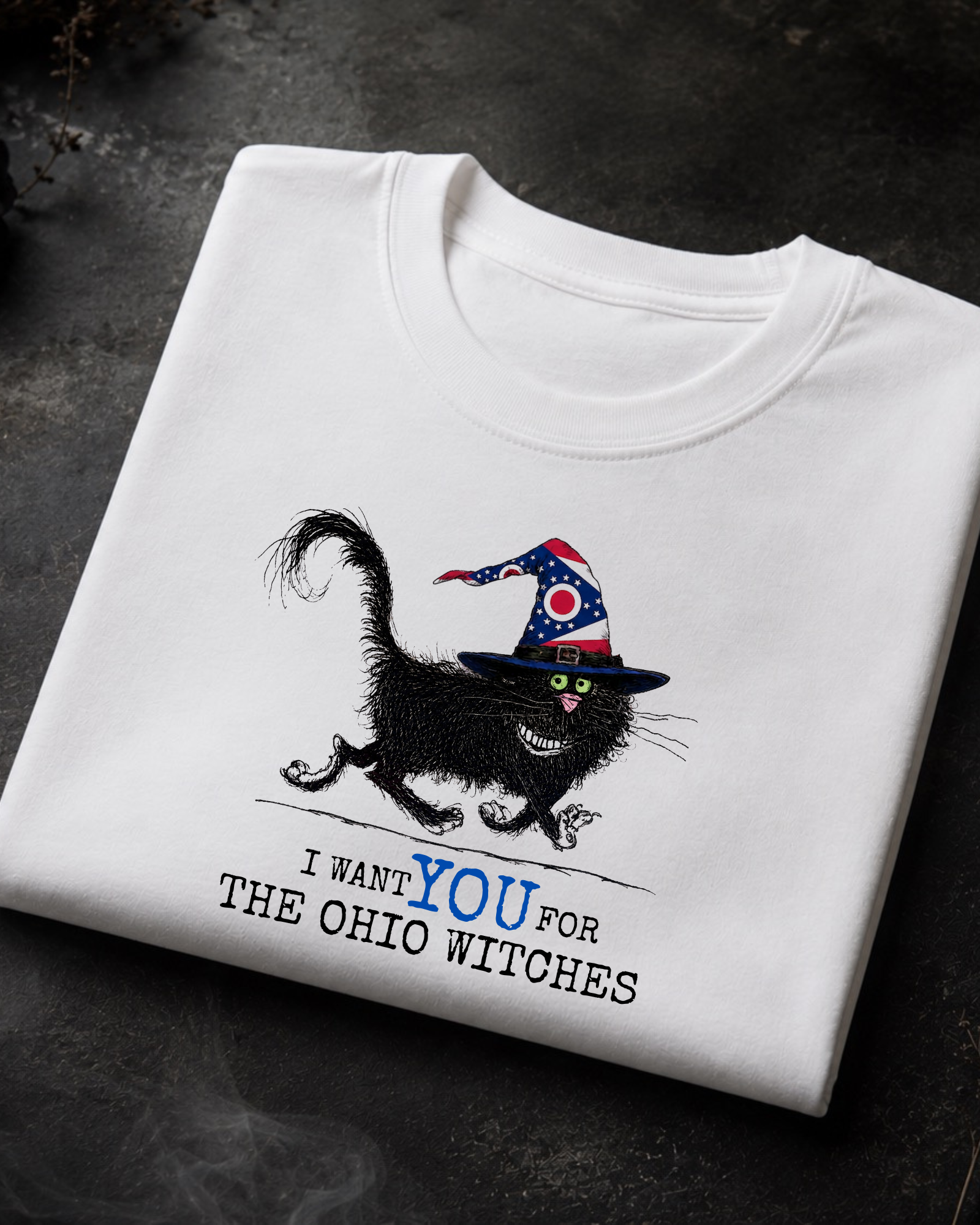 Ohio Witches Tee – Comfort Colors Black Cat Graphic Tee | Moonspell Hollow™