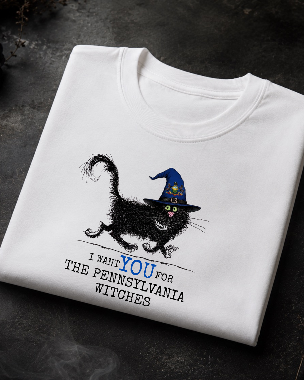 Pennsylvania Witches Tee – Comfort Colors Black Cat Graphic Tee | Moonspell Hollow™