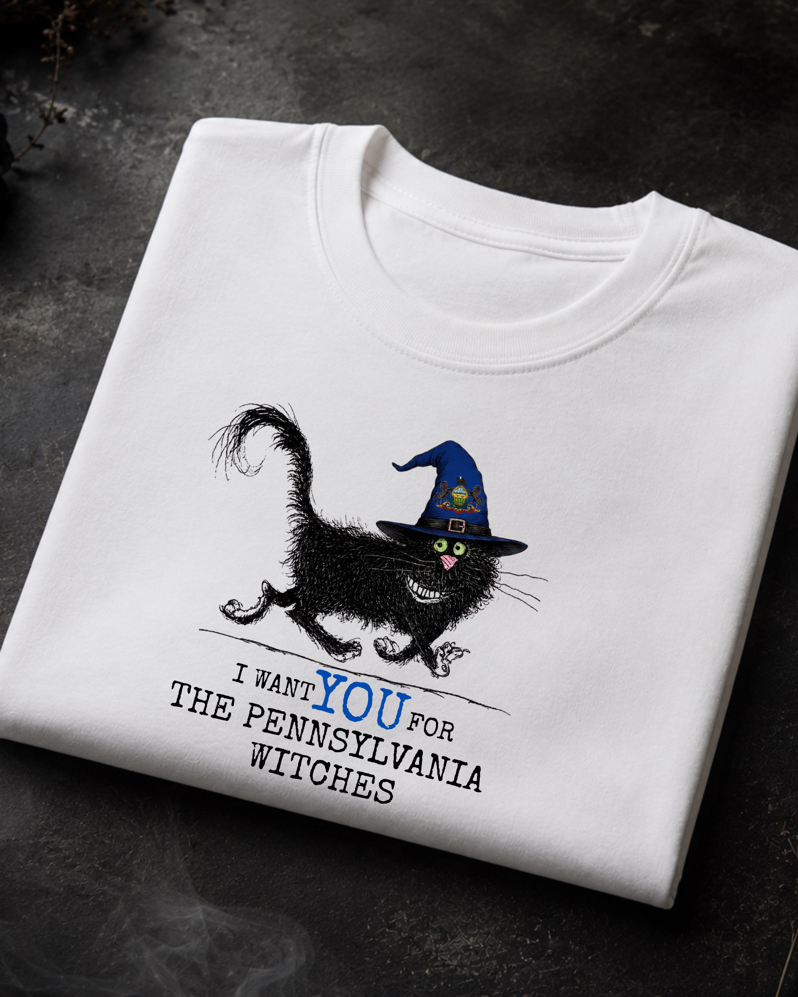 Pennsylvania Witches Tee – Comfort Colors Black Cat Graphic Tee | Moonspell Hollow™