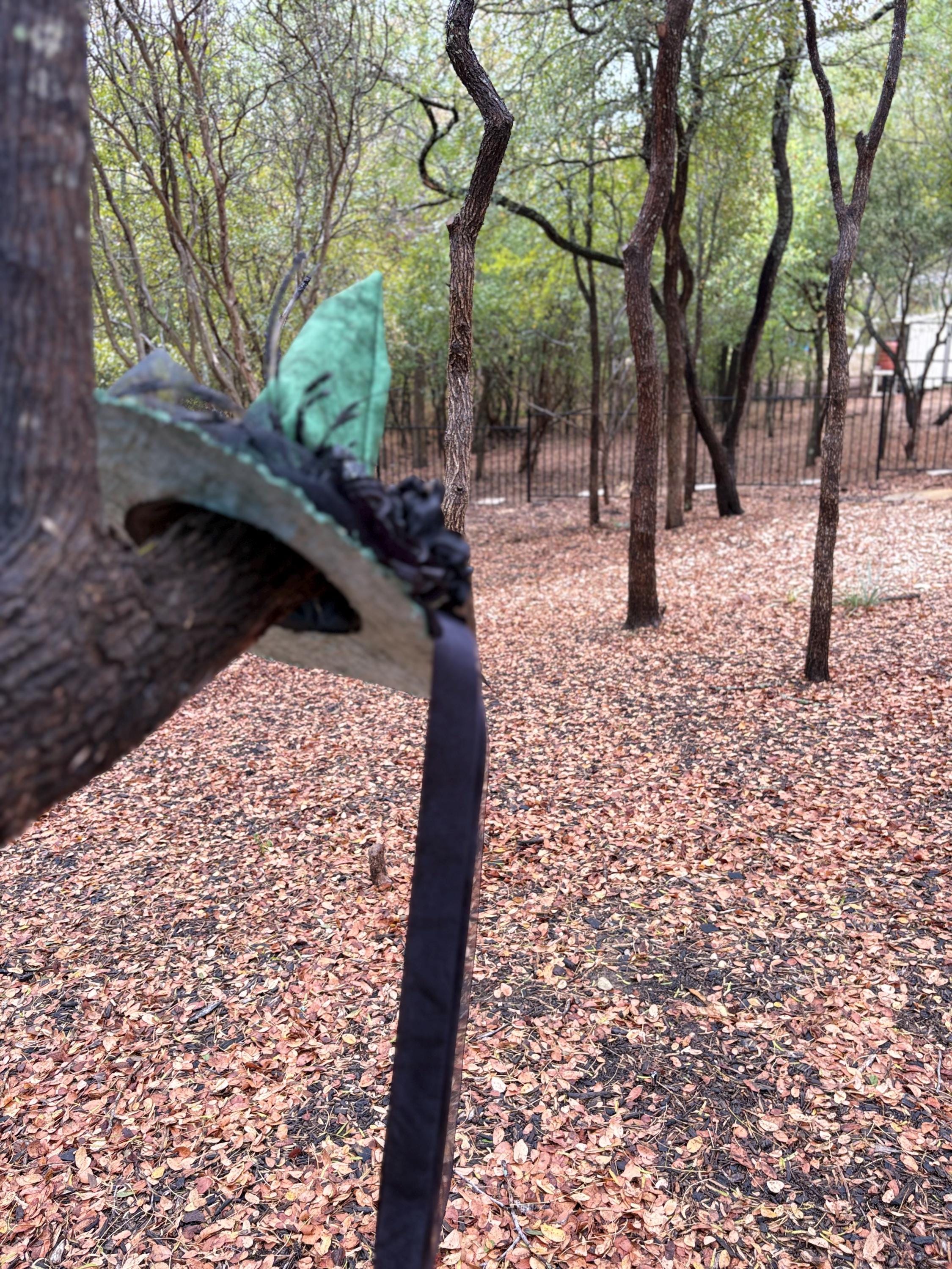 Witch Hat in Deep Green & Black | Shadow Envy | Gothic Halloween Costume Hat