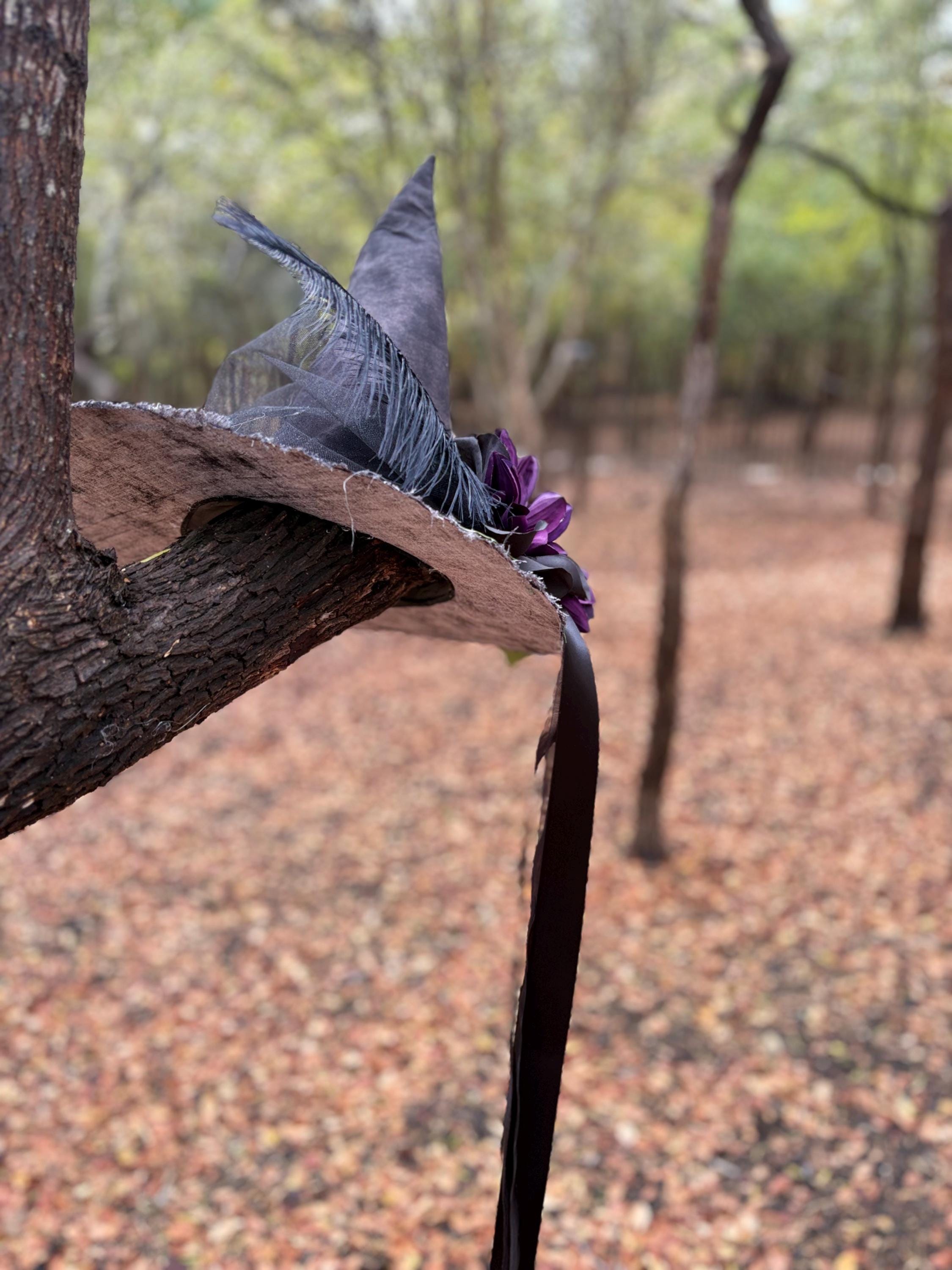 Witch Hat in Black & Plum | Witchy Elegance | Gothic Witch